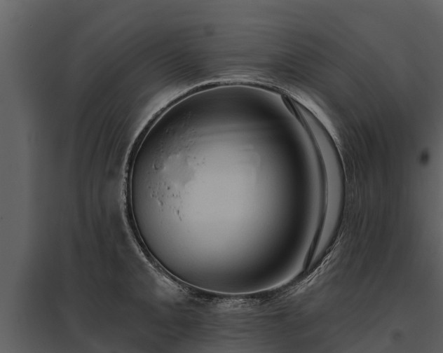 X0000095681093200801151120