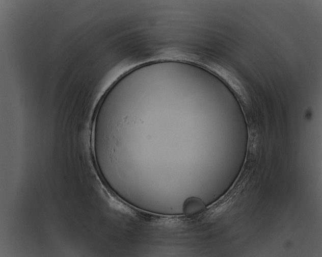 X0000095681094200801151120