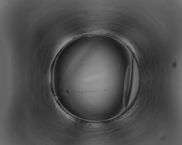X0000095681095200801151120