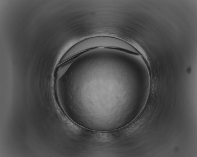 X0000095681096200801151120