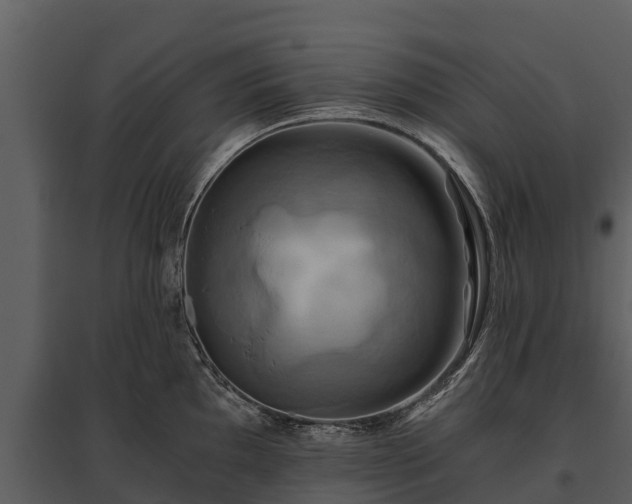 X0000095681097200801151120