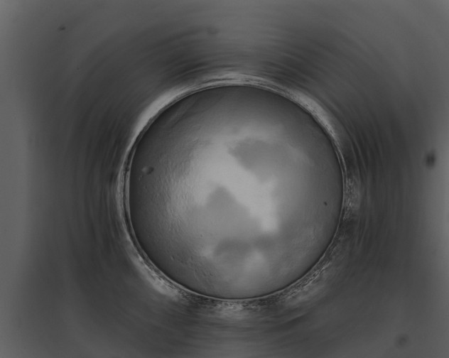 X0000095681098200801151120