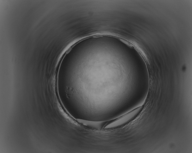 X0000095681100200801151120