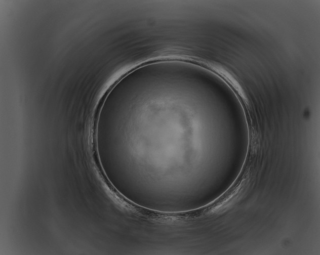X0000095681101200801151120