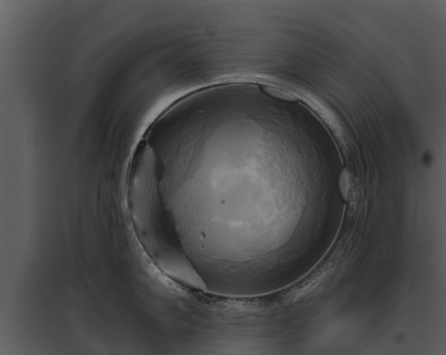 X0000095681102200801151120