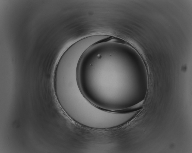 X0000095681104200801151120