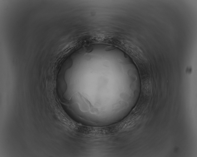 X0000095681105200801151119
