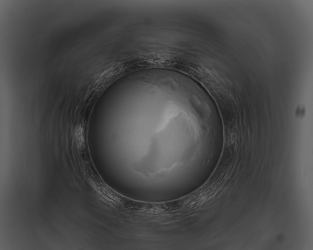 X0000095681106200801151119