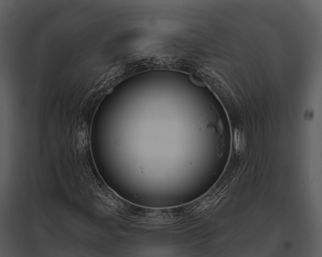 X0000095681107200801151119