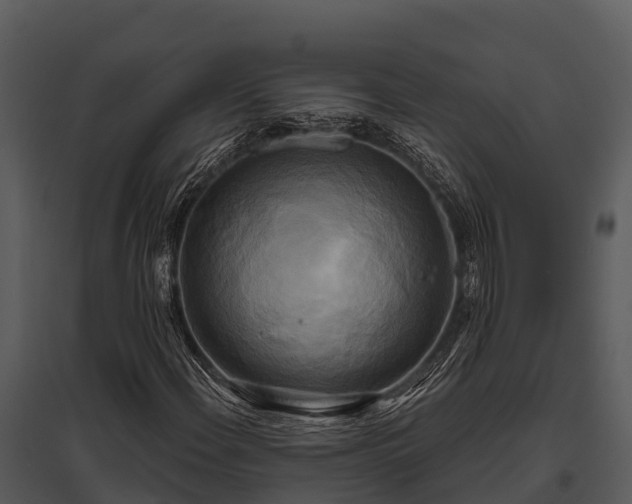X0000095681108200801151119