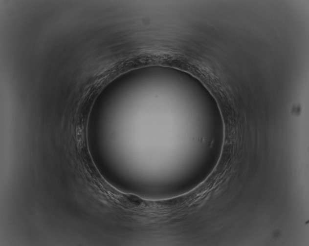 X0000095681109200801151119