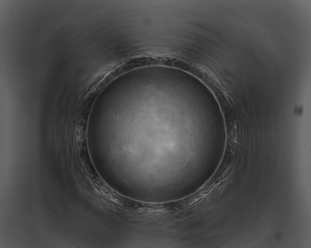 X0000095681110200801151119