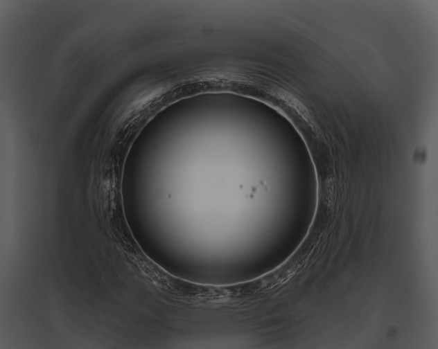 X0000095681111200801151119