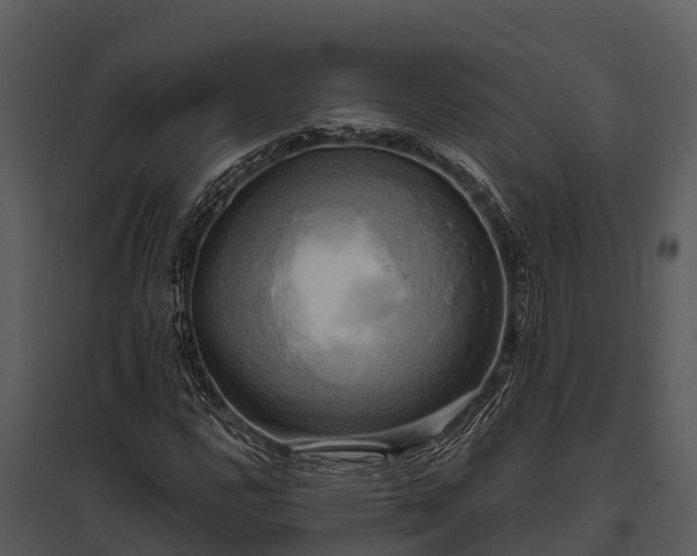 X0000095681112200801151119