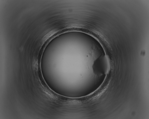 X0000095681113200801151119