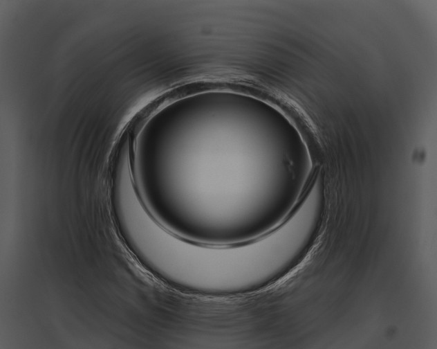 X0000095681114200801151119