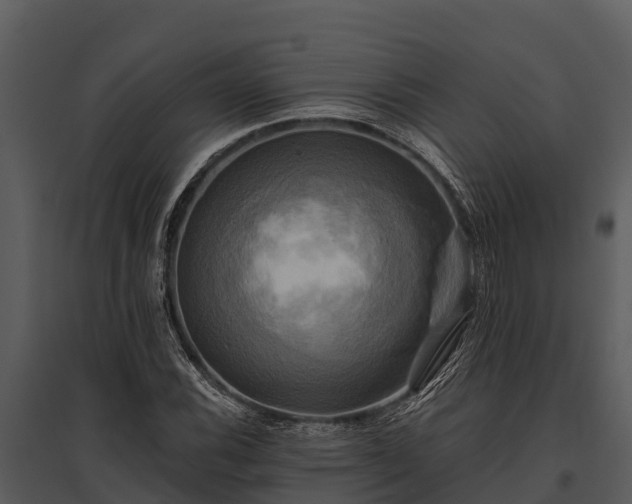 X0000095681116200801151119