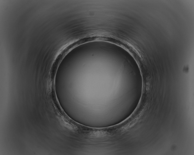 X0000095681117200801151119