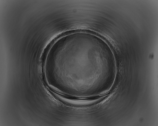 X0000095681118200801151119