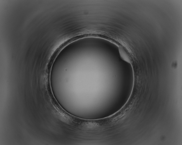 X0000095681119200801151119