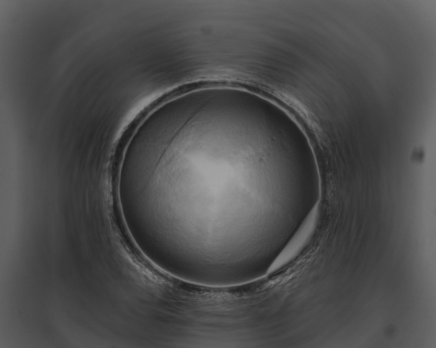 X0000095681120200801151119
