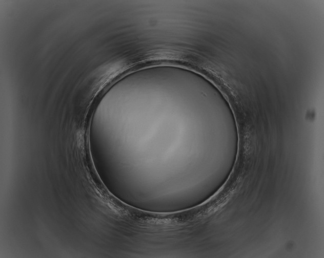 X0000095681121200801151119