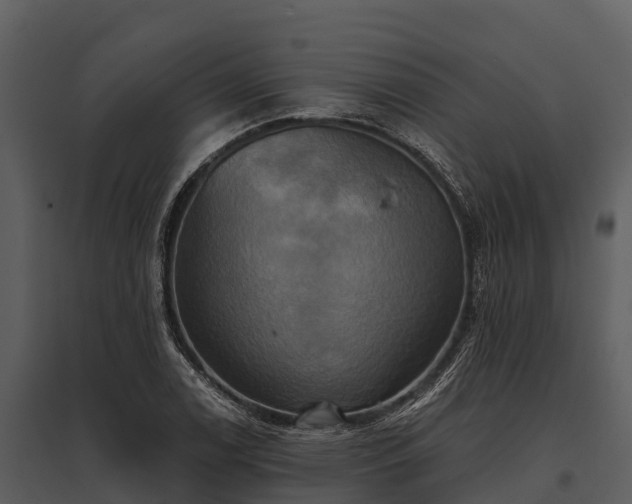 X0000095681122200801151119