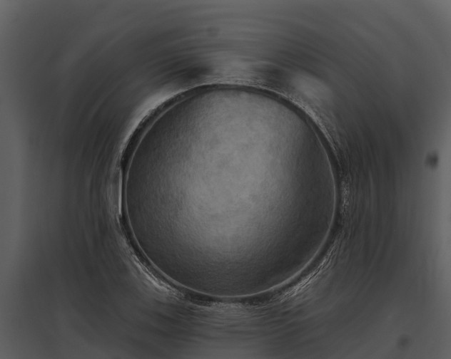 X0000095681123200801151119