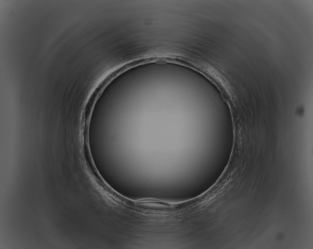X0000095681124200801151119