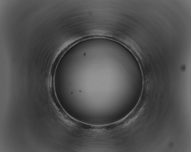 X0000095681125200801151119
