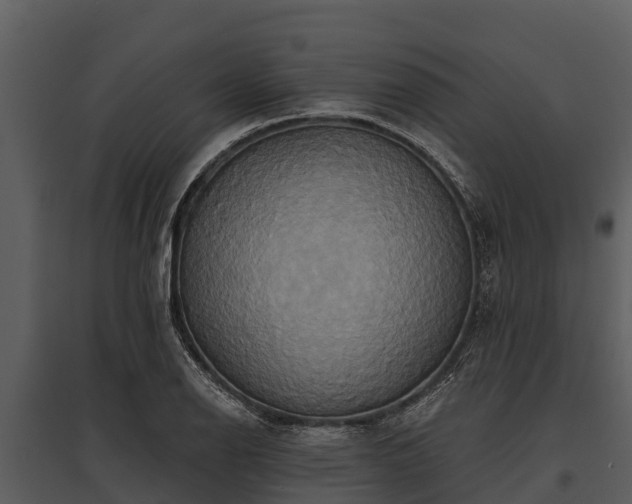 X0000095681126200801151119