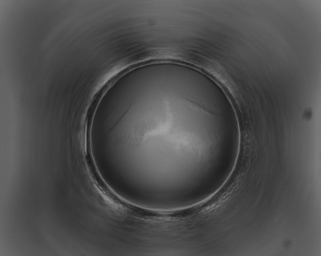 X0000095681127200801151120