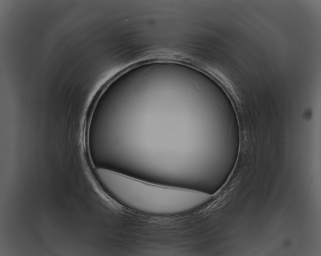 X0000095681128200801151120