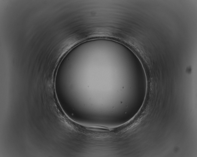 X0000095681129200801151120