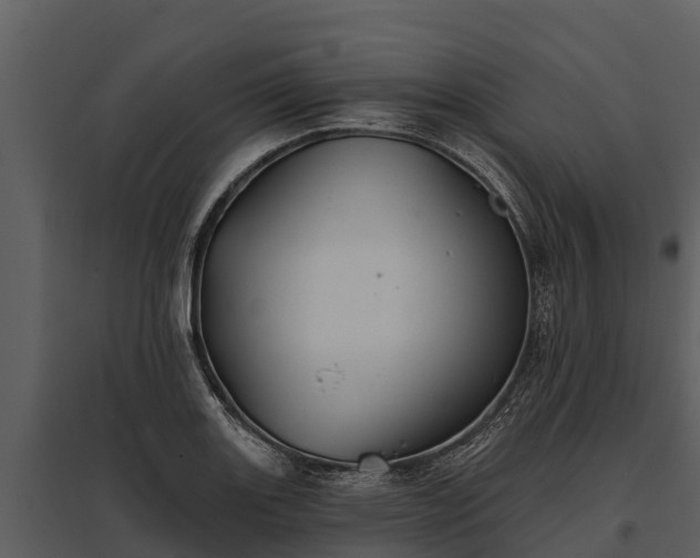 X0000095681131200801151120