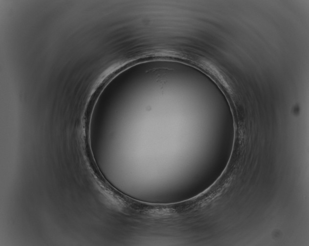 X0000095681133200801151120