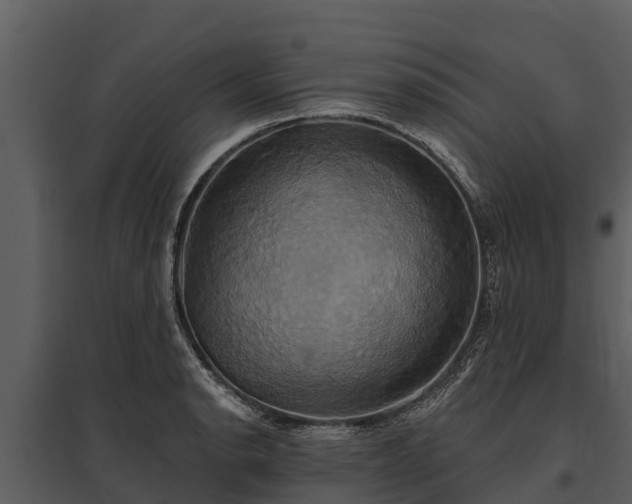 X0000095681134200801151120