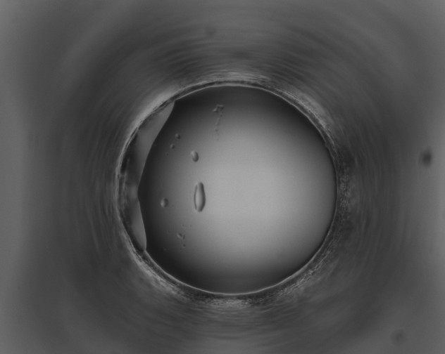 X0000095681135200801151120