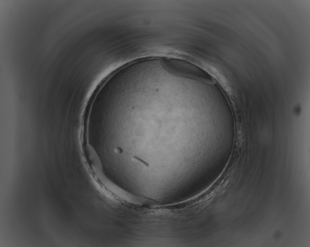 X0000095681136200801151120