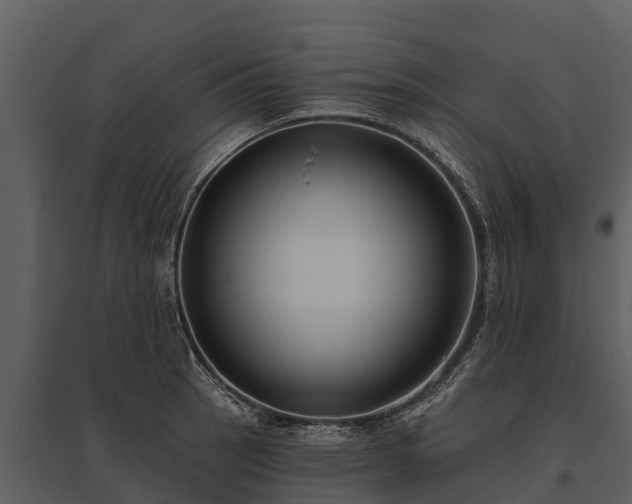 X0000095681137200801151120
