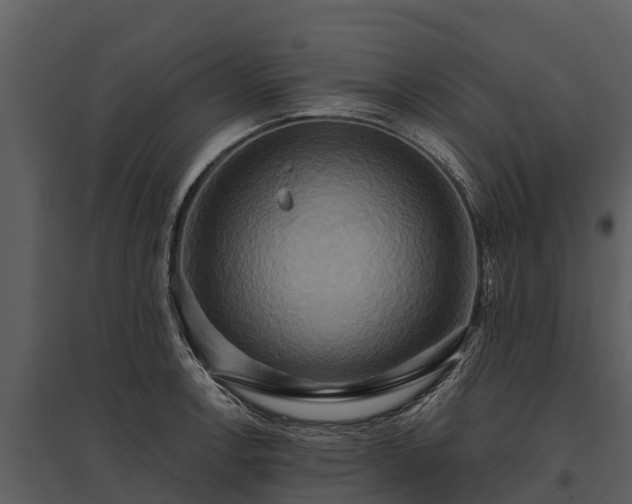 X0000095681138200801151120