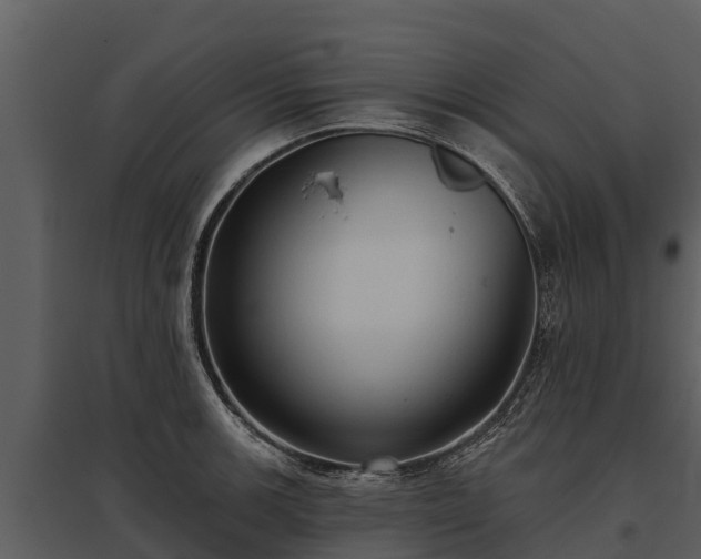 X0000095681139200801151120