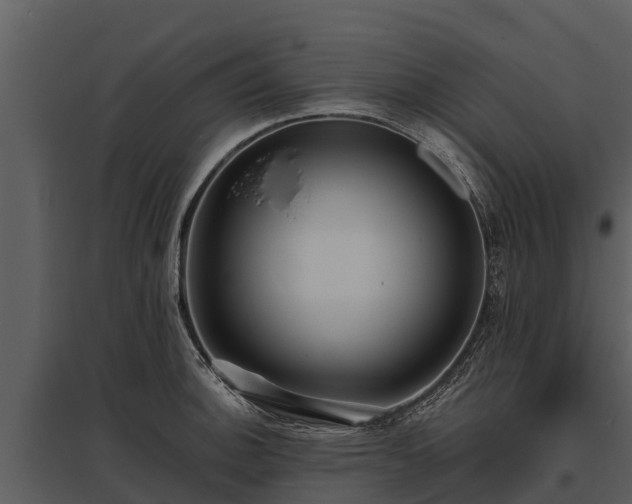 X0000095681140200801151120