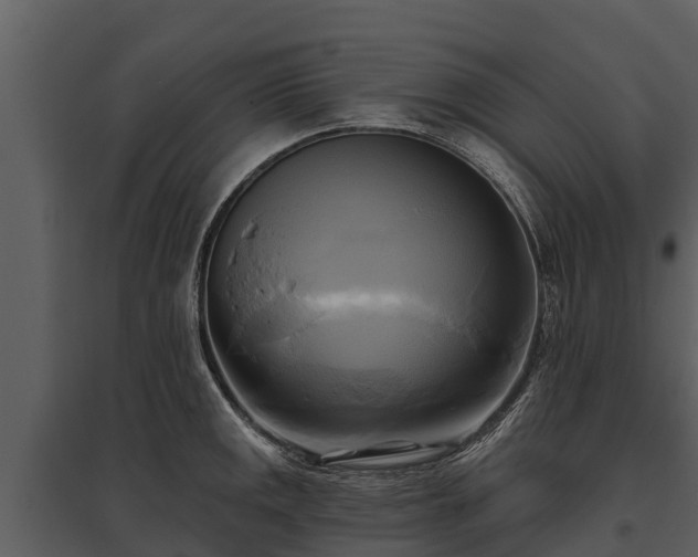X0000095681141200801151120
