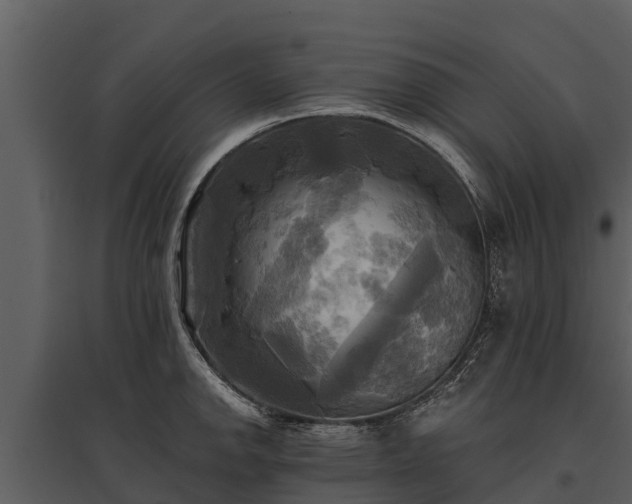 X0000095681142200801151120
