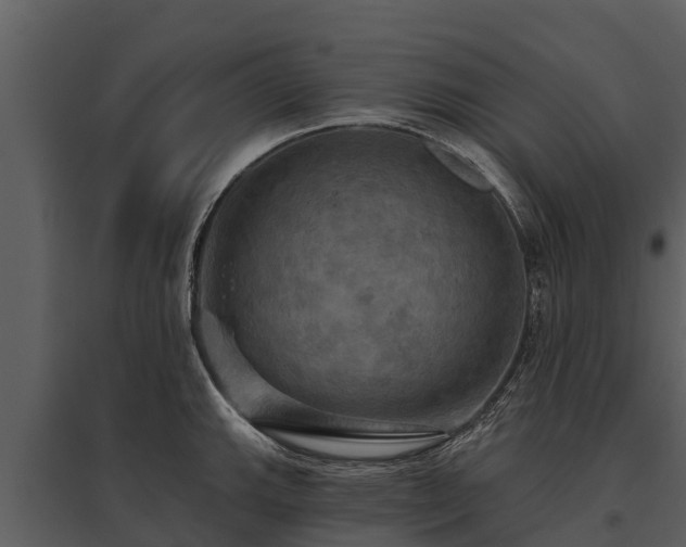 X0000095681143200801151120