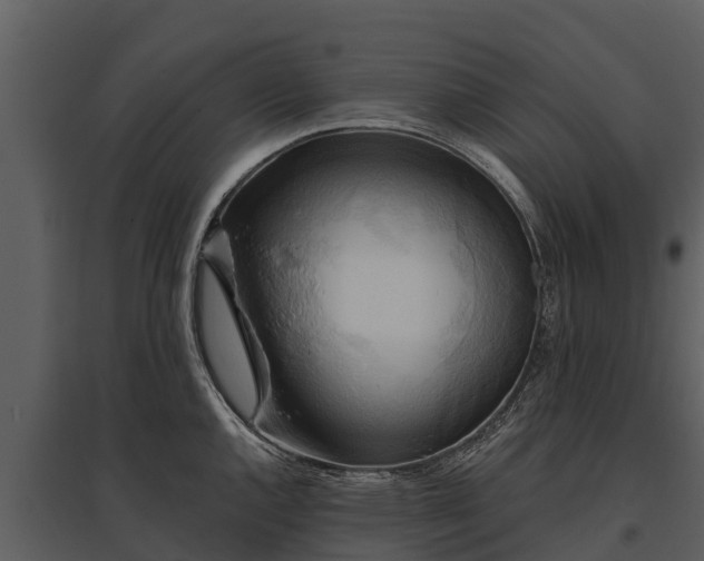 X0000095681144200801151120