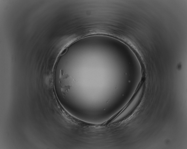 X0000095681145200801151120