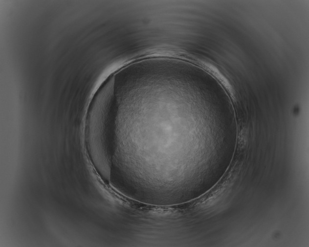 X0000095681146200801151120