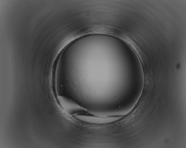 X0000095681147200801151120